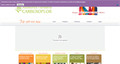 Desktop Screenshot of carbuxoflor.com